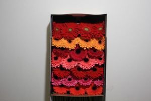 GERBERA MIX  IN BOX 45